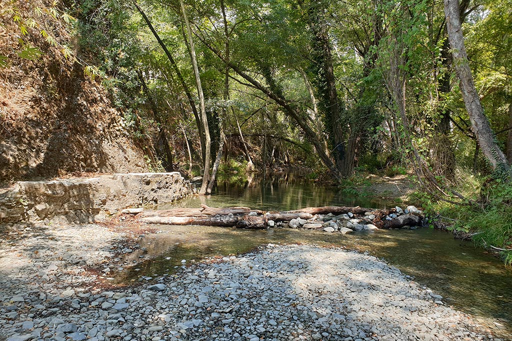Paphos-forest-drive 27 paphos-forest-drive_27