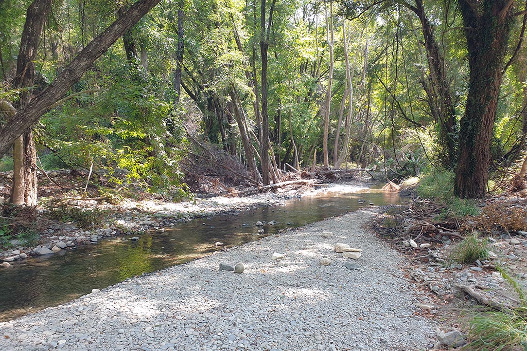 Paphos-forest-drive 28 paphos-forest-drive_28