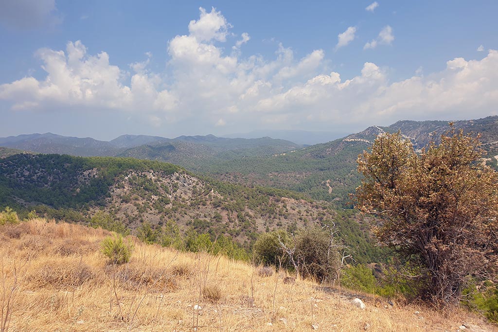 Paphos-forest-drive 29 paphos-forest-drive_29