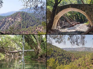 A Woodland Drive from Panagia to Vretsia