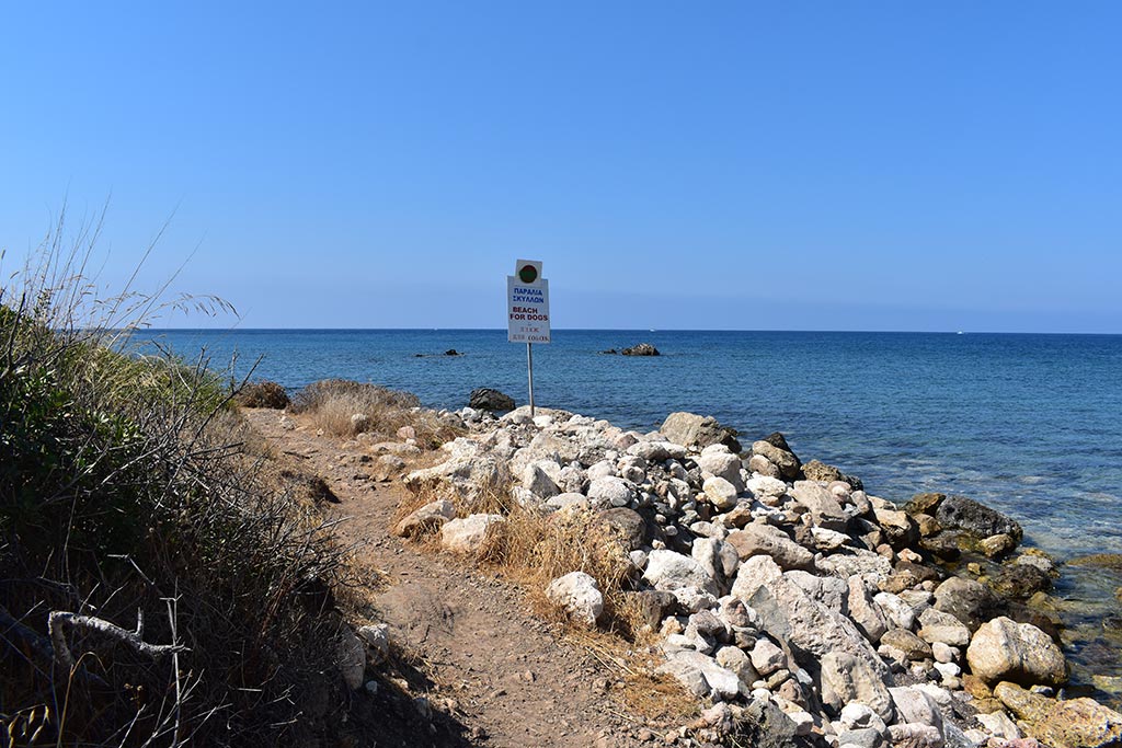 Polis-beaches-part-1 04-dog polis-beaches-part-1_04-dog