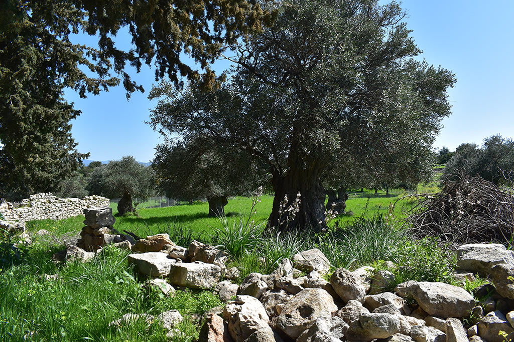 st-george-nicoxylitis-church_12