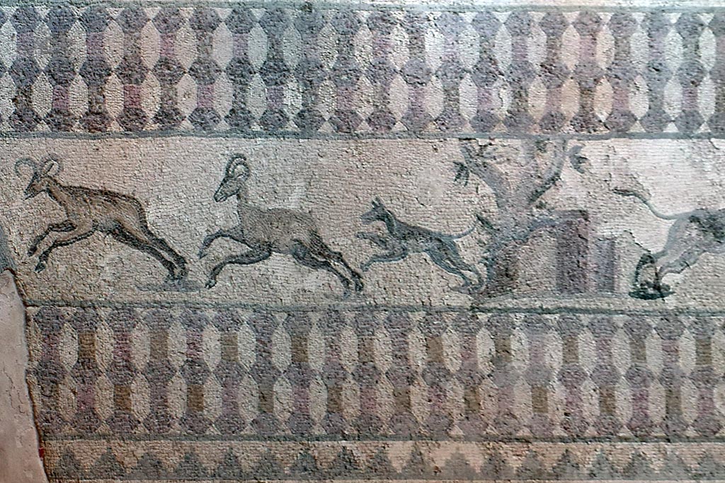 The-house-of-dionysus 24-m12-hunta the-house-of-dionysus_24-m12-hunta