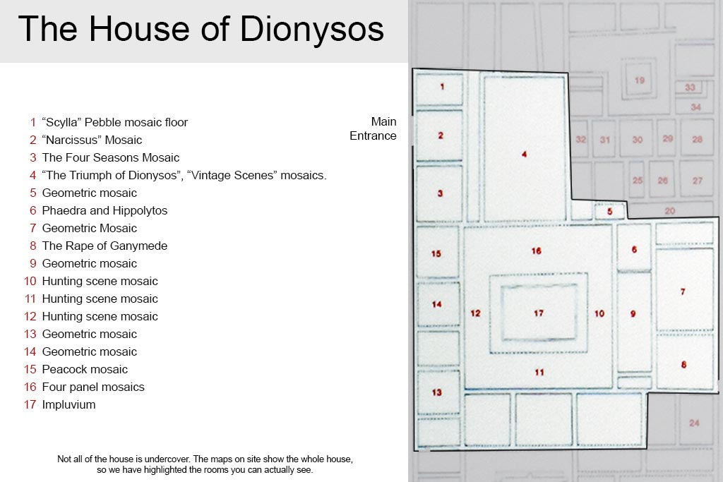 The-house-of-dionysus 26 the-house-of-dionysus_26