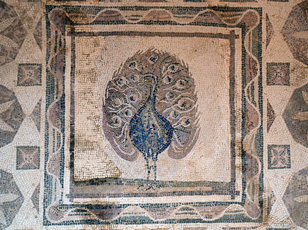 The-house-of-dionysus 28-m15-peacock the-house-of-dionysus_28-m15-peacock