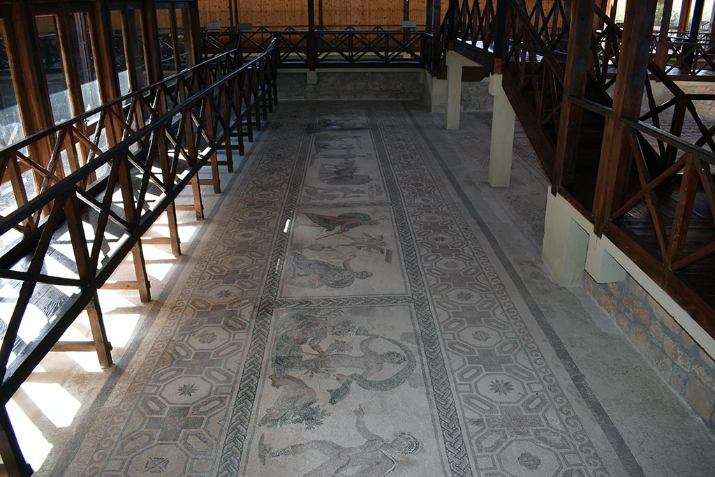 The-house-of-dionysus 29 the-house-of-dionysus_29