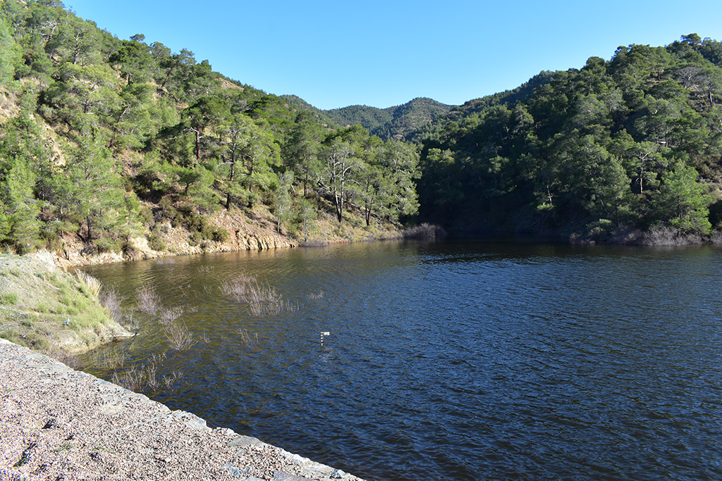The-reservoirs-are-full 02 the-reservoirs-are-full_02