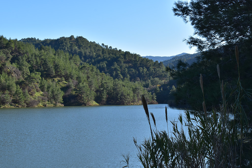 The-reservoirs-are-full 10 the-reservoirs-are-full_10