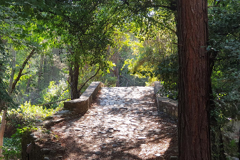 The-xeros-trail 20 the-xeros-trail_20