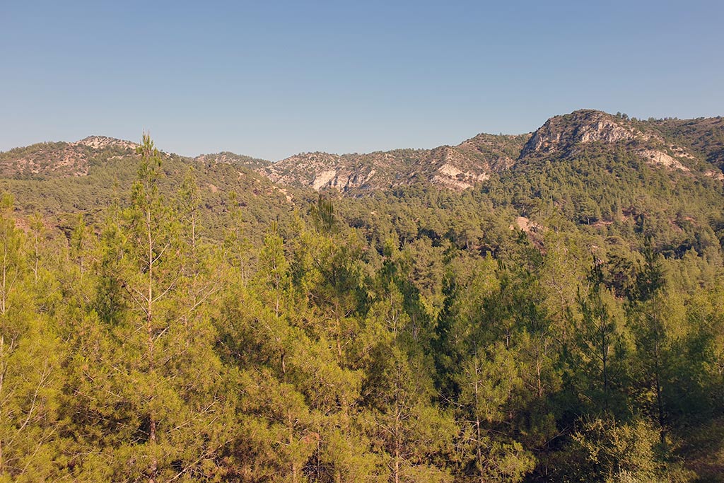 The-xeros-trail 23 the-xeros-trail_23