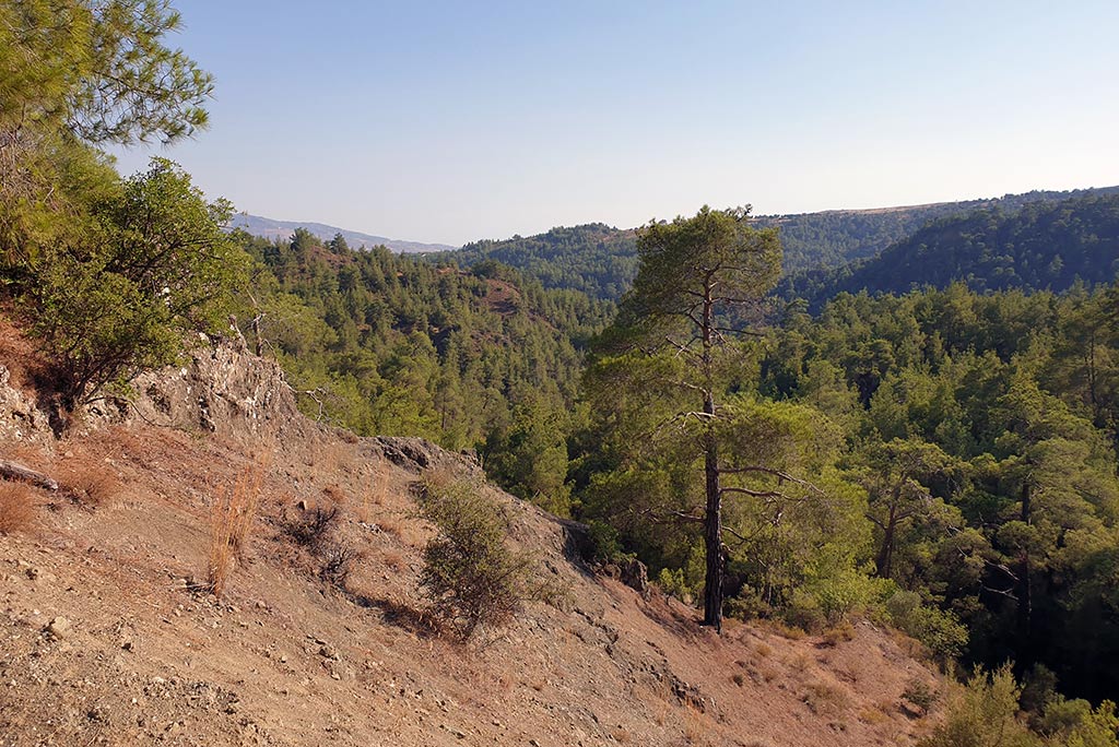 The-xeros-trail 26 the-xeros-trail_26