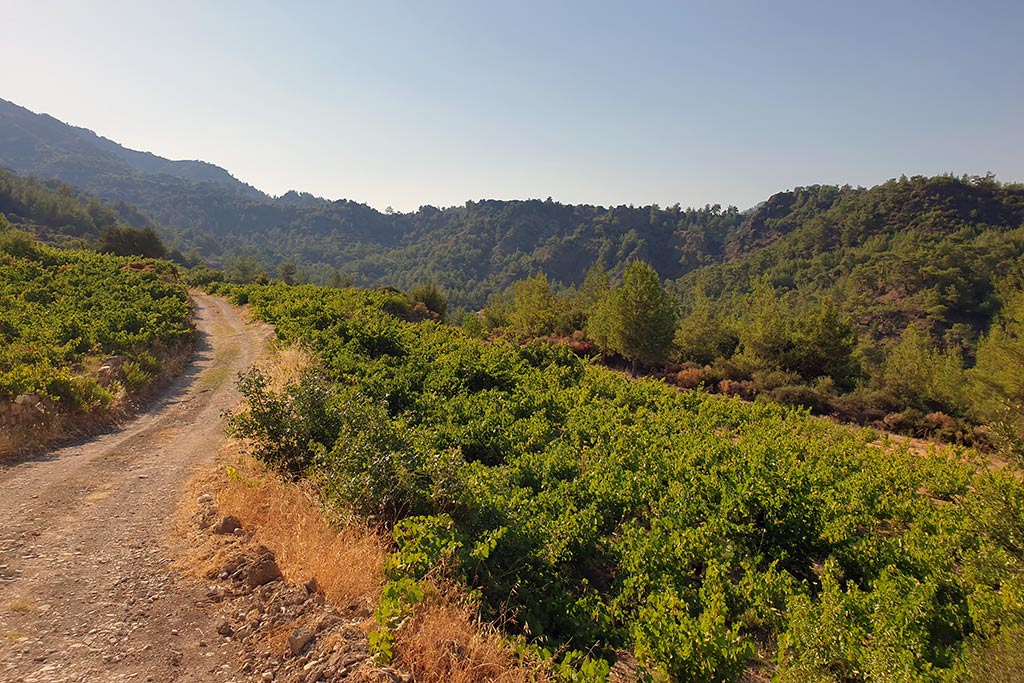 The-xeros-trail 27 the-xeros-trail_27