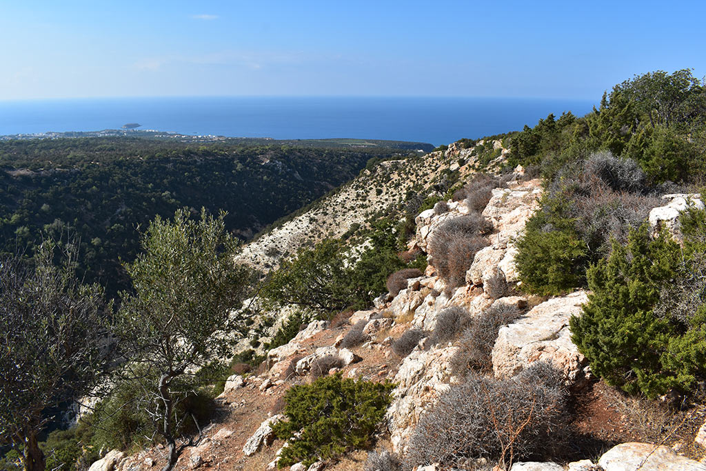 Topographical-maps-of-cyprus 19 topographical-maps-of-cyprus_19