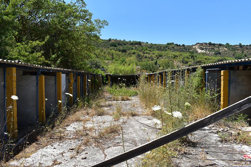 tsada-dog-kennels_05