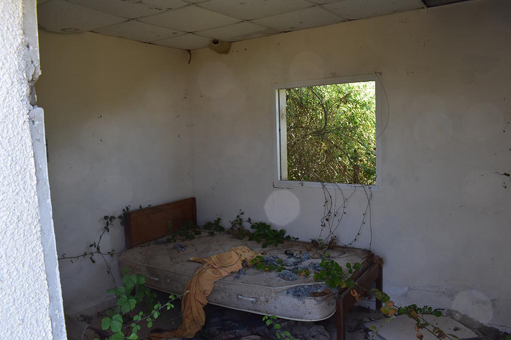 tsada-dog-kennels_14