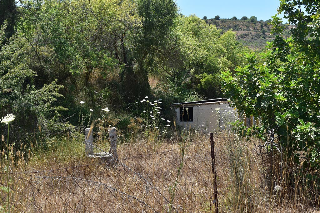 tsada-dog-kennels_18