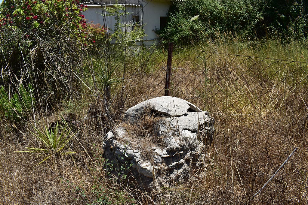 tsada-dog-kennels_19