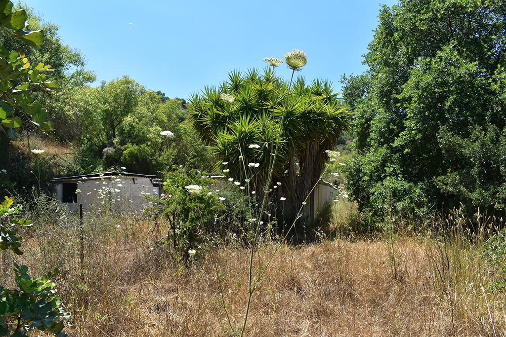 tsada-dog-kennels_20