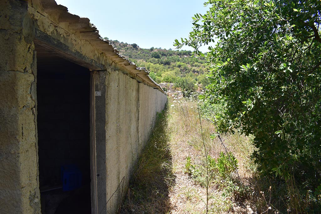 Tsada-dog-kennels 21 tsada-dog-kennels_21