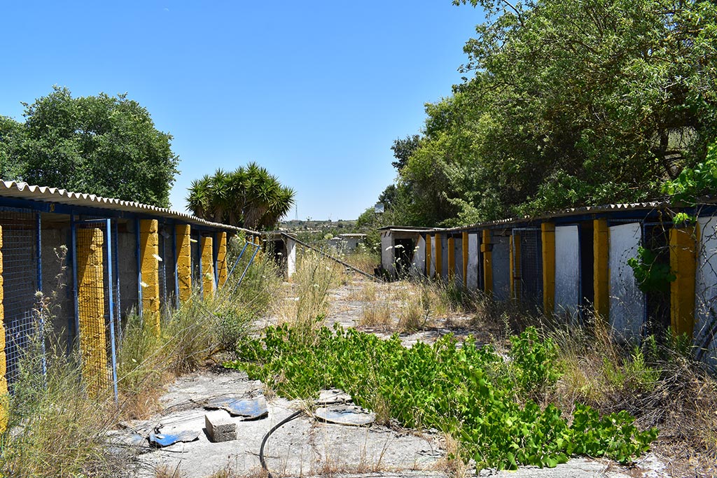 Tsada-dog-kennels 24 tsada-dog-kennels_24