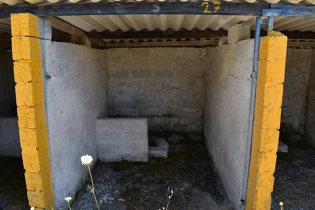 Tsada-dog-kennels 25 tsada-dog-kennels_25