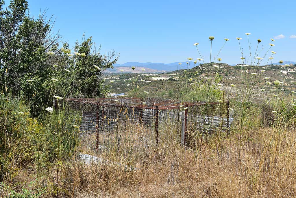 Tsada-dog-kennels 29 tsada-dog-kennels_29