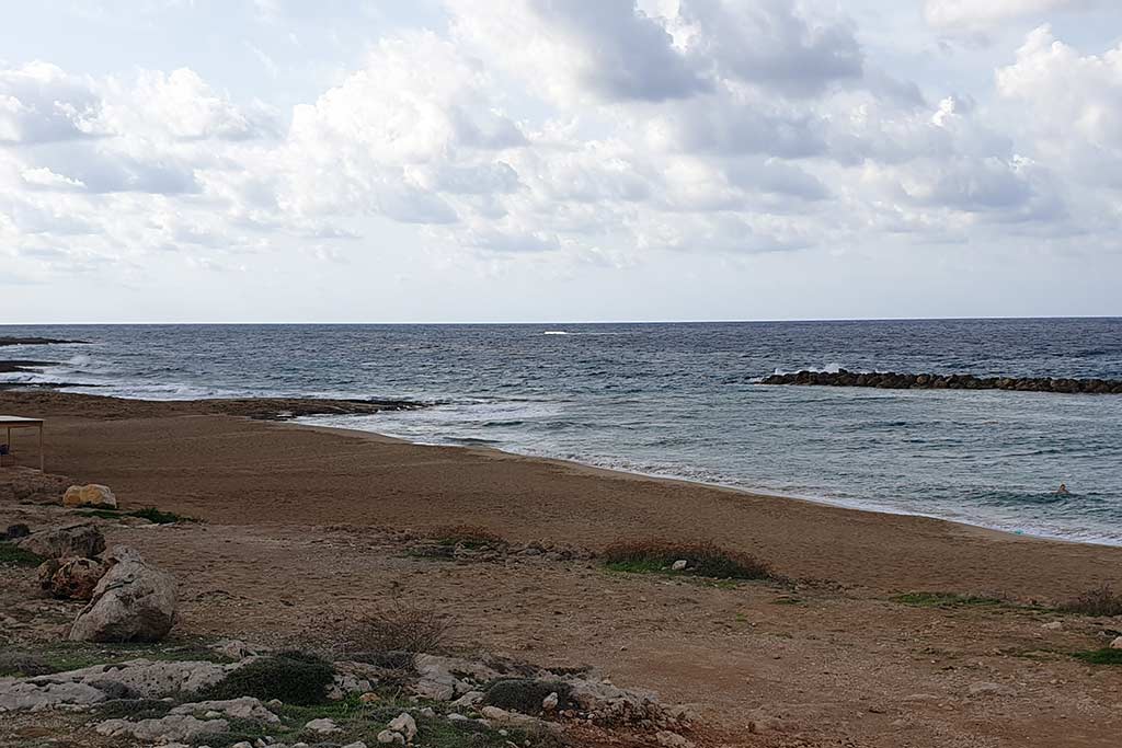 venus-beach-cleanup_02