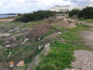 Beach Cleanup - Venus Beach This Sunday.