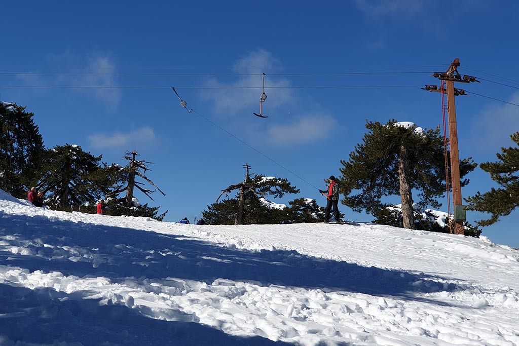 winter-wonderland-2020_16