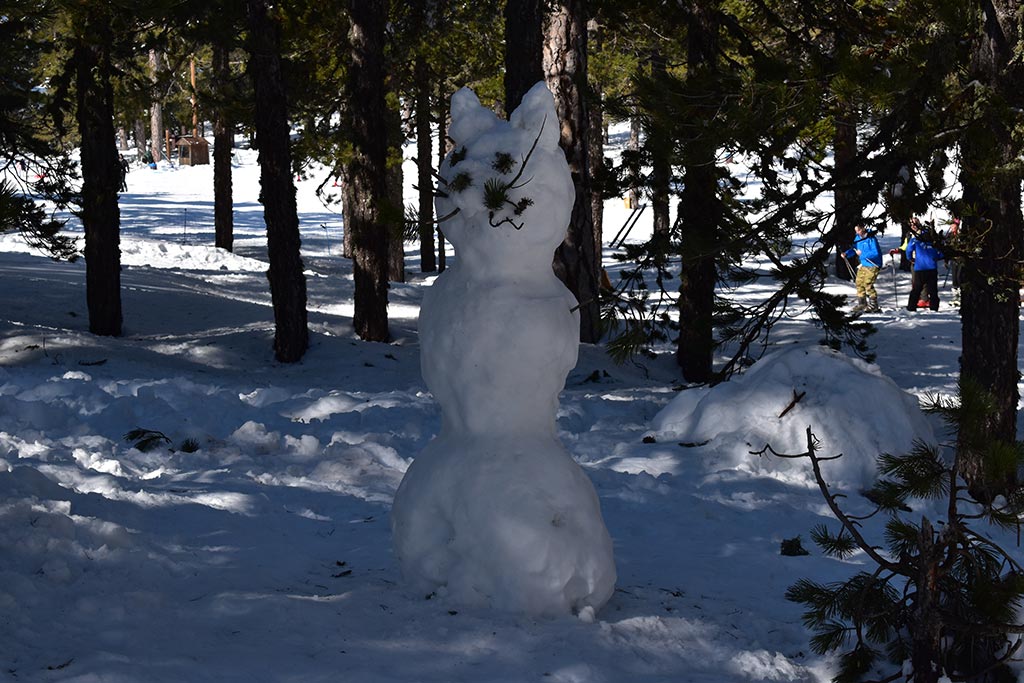 Winter-wonderland-2020 30 winter-wonderland-2020_30