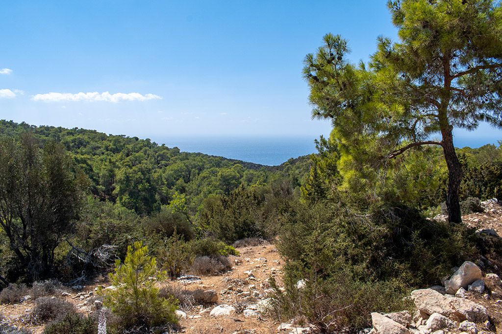 above-white-river-gorge_23