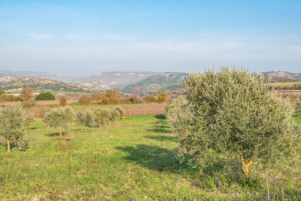 agios-efraim-walk_06