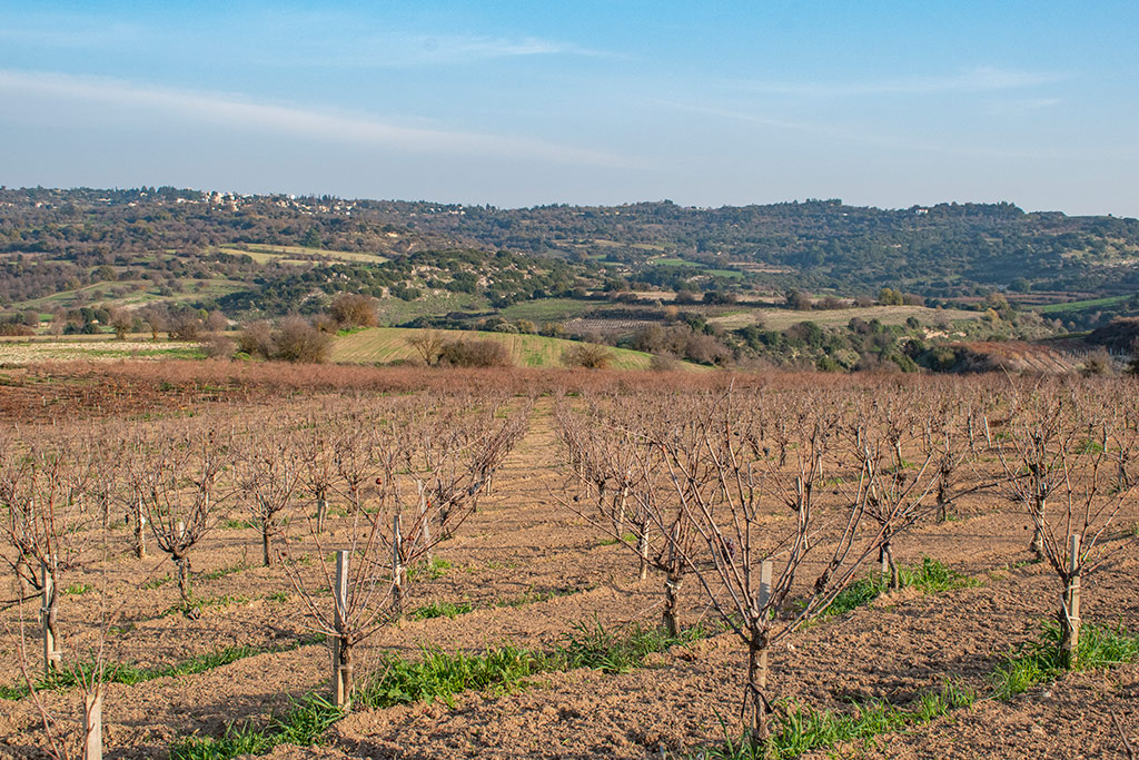 agios-efraim-walk_09