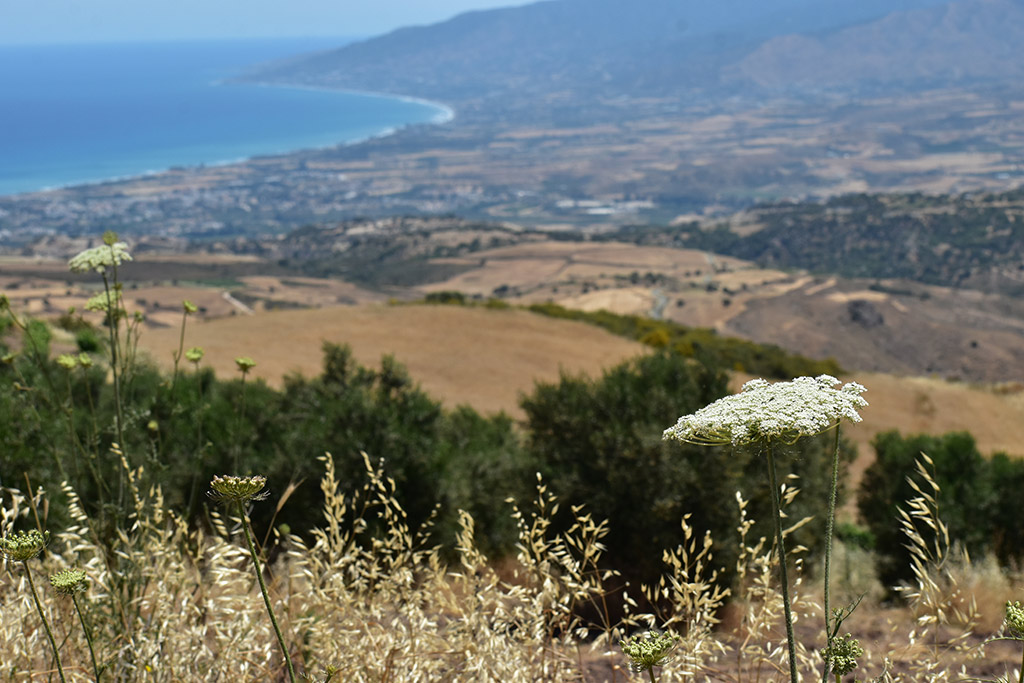 Akamas-summer-drive 04 akamas-summer-drive_04
