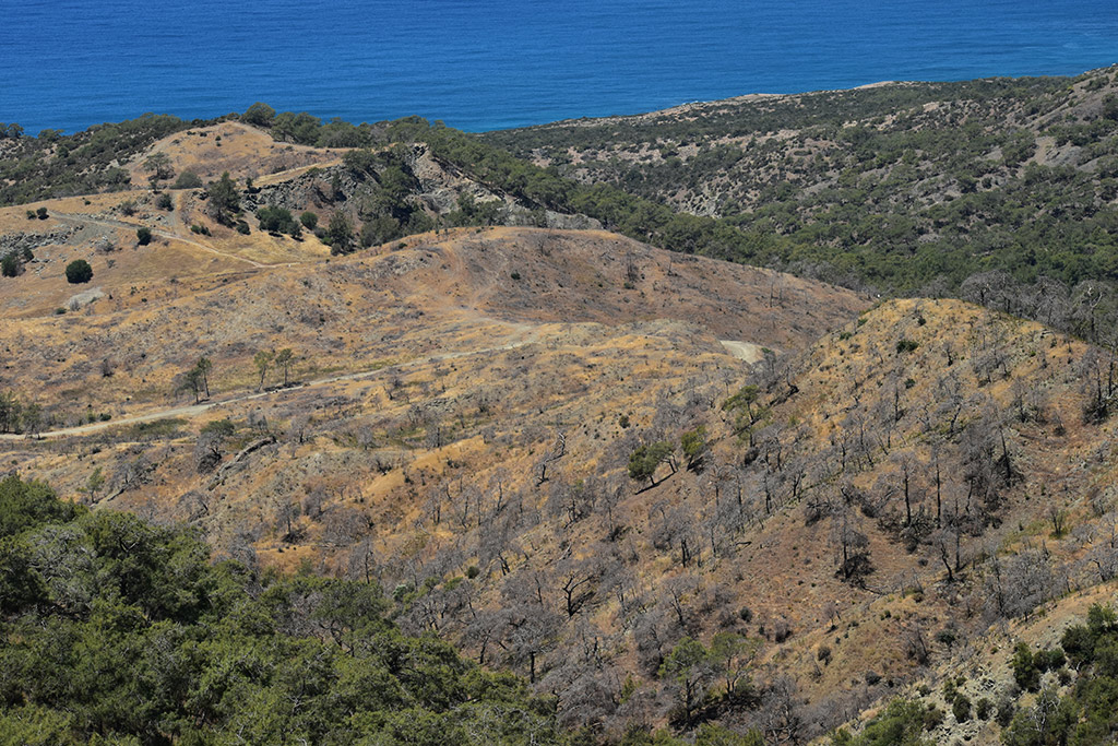 akamas-summer-drive_31