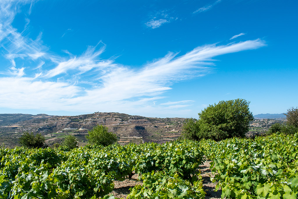 ayios-georgios-koili_02