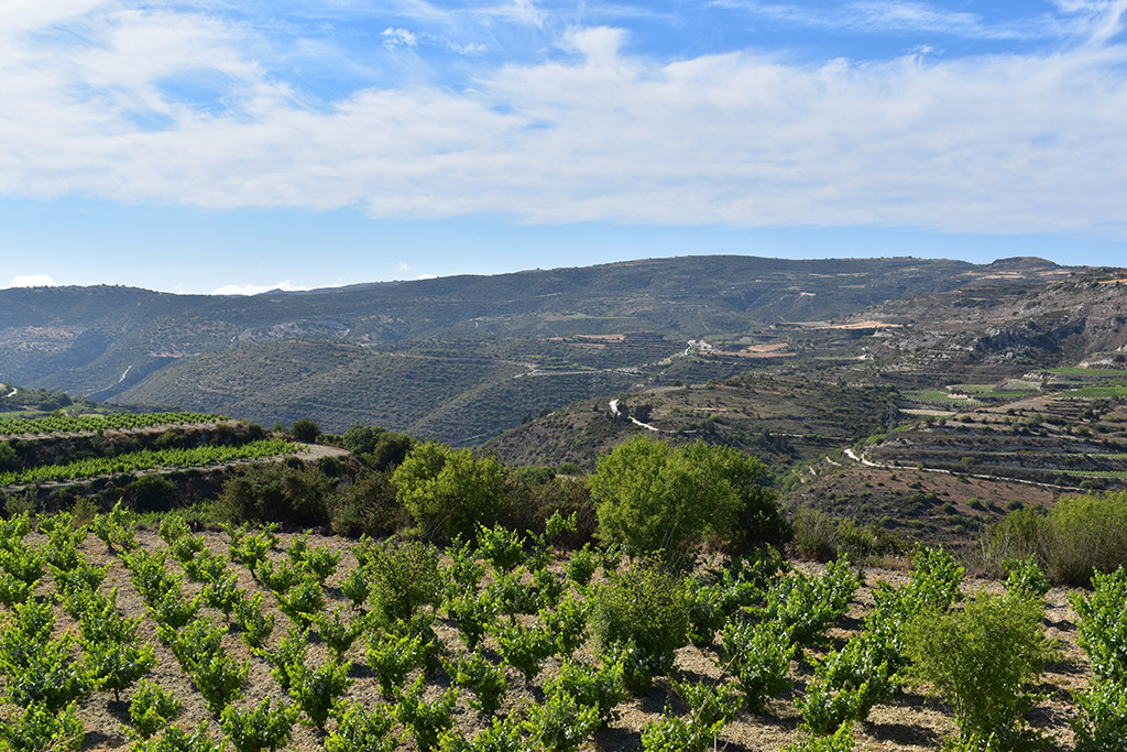 Ayios-georgios-koili 13 ayios-georgios-koili_13