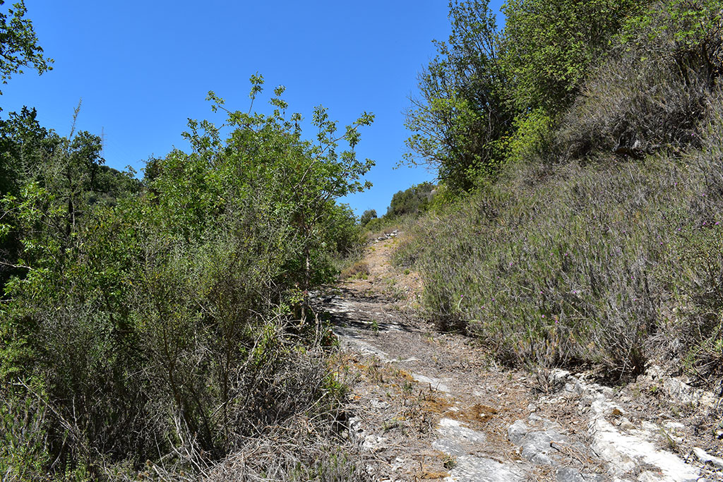 finding-prodromos-monastery_07