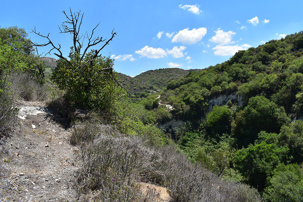 Finding-prodromos-monastery 13 finding-prodromos-monastery_13