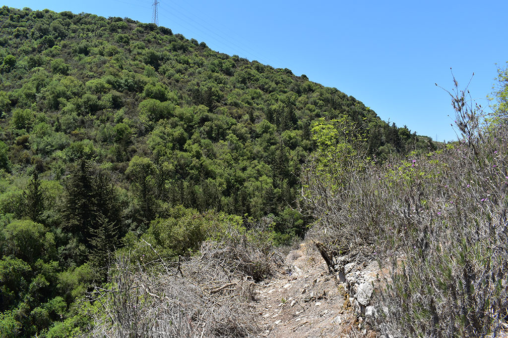 Finding-prodromos-monastery 16 finding-prodromos-monastery_16
