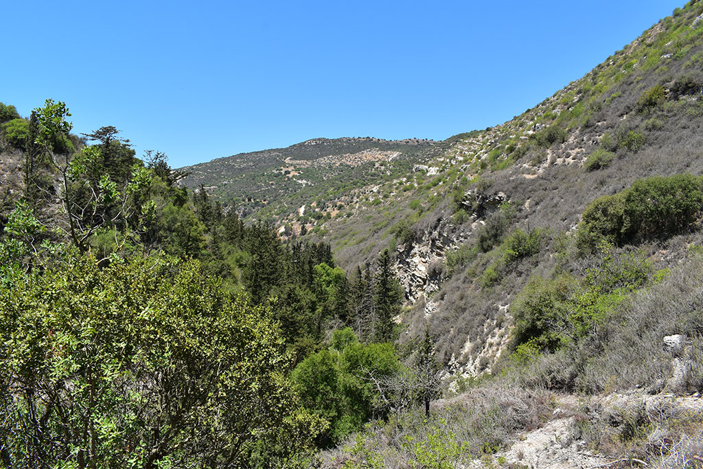 Finding-prodromos-monastery 20 finding-prodromos-monastery_20