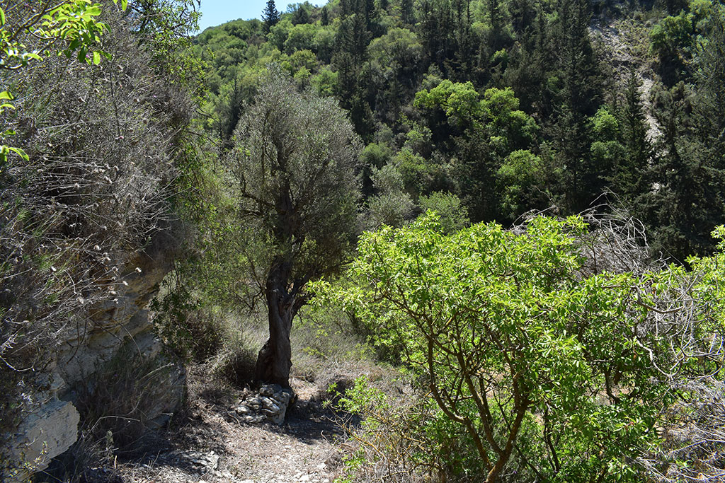 Finding-prodromos-monastery 21 finding-prodromos-monastery_21