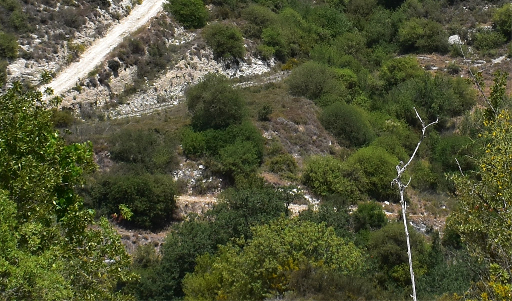 Finding-prodromos-monastery 29 finding-prodromos-monastery_29