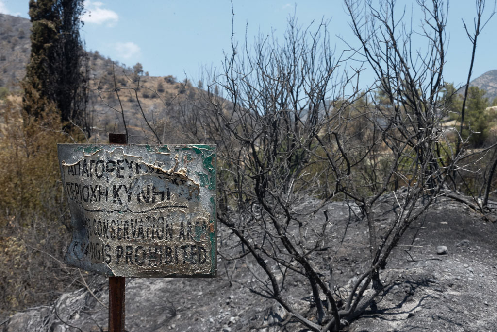 fire-affected-areas_13
