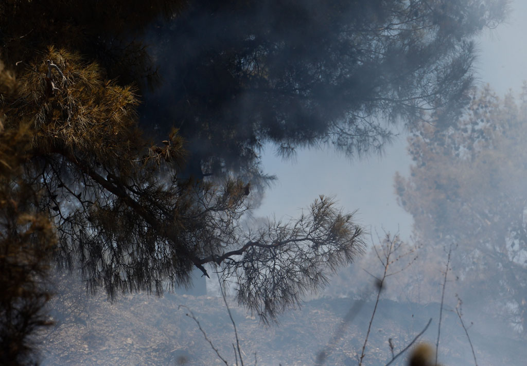 fire-affected-areas_14
