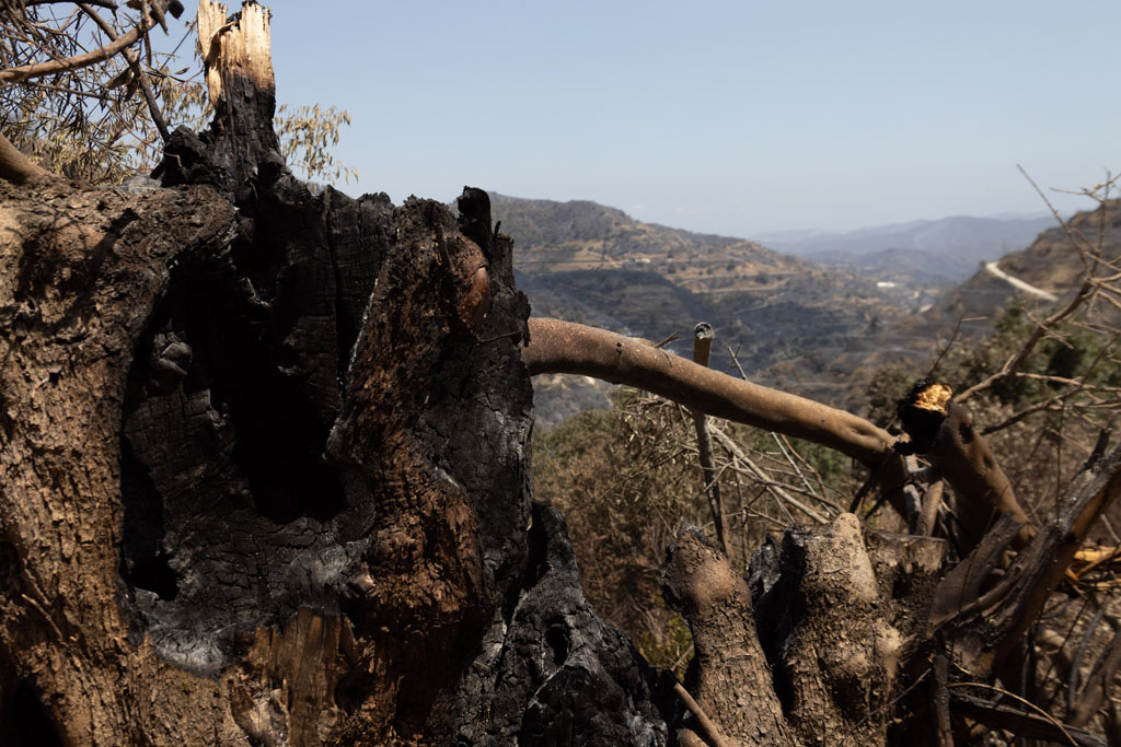 fire-affected-areas_19