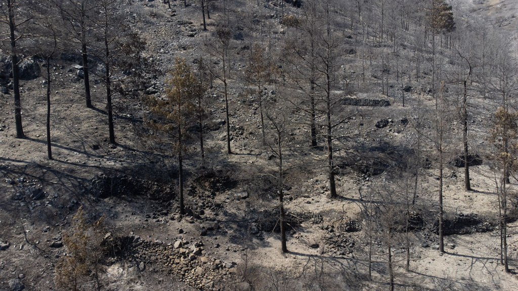 fire-affected-areas_28