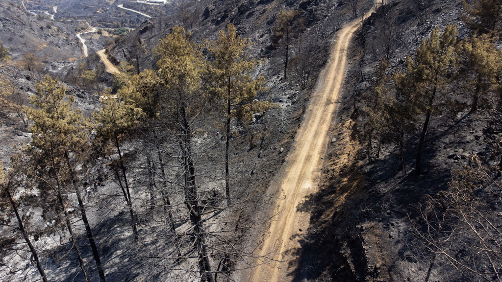 fire-affected-areas_29