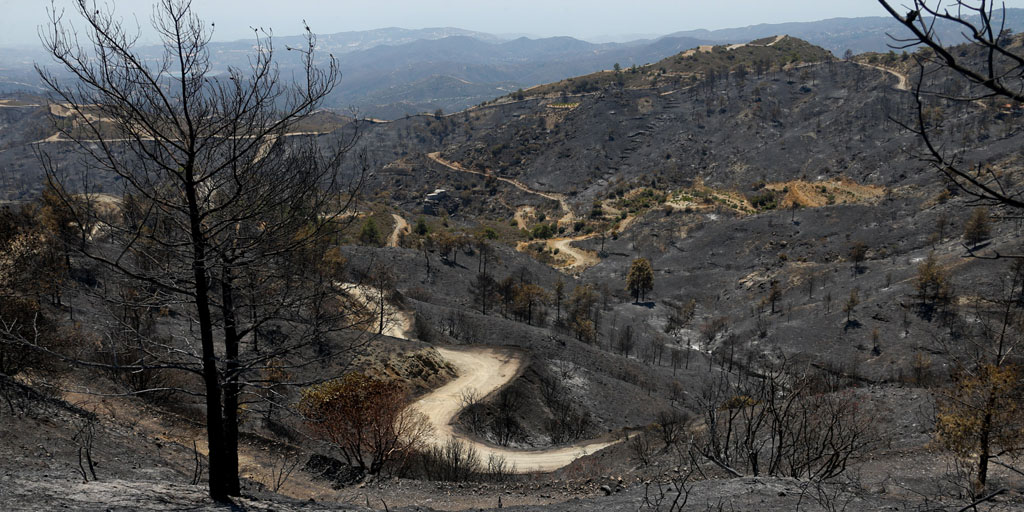 fire-affected-areas_36