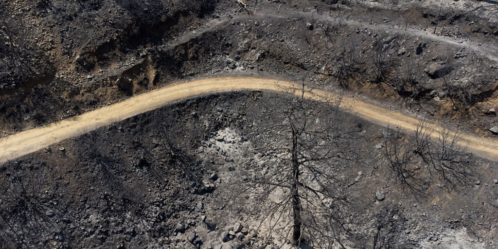 fire-affected-areas_39